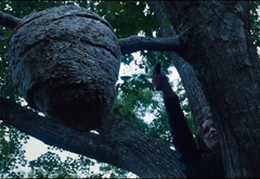 Katniss cortando la rama que sostiene el nido de rastrevíspulas.png