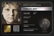 Tribute Identification Card