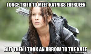 Best 25 Hunger Games Memes #Hunger games Funny #Memes