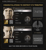 District 3 Tributes-0