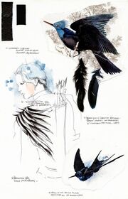 A jabberjay beside costume design sketches for Mockingjay - Part 1.