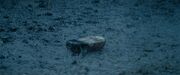 Hungergames 01453.jpg