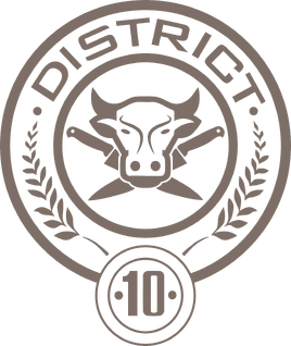 District 10 Seal