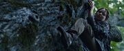 Thehungergames-6799.jpg