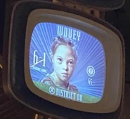 Wovey's face on the monitors.