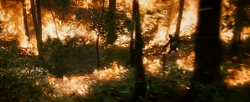 Katniss running from a forest fire in The Hunger Games film.