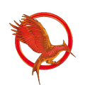 Catching Fire