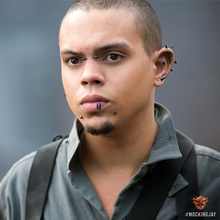 Messalla Mockingjay