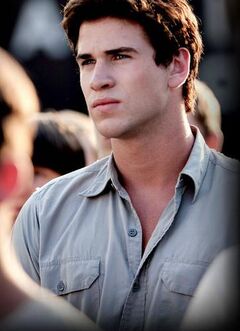 Gale durante la cosecha