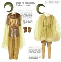 Hunger games chariot costumes sales