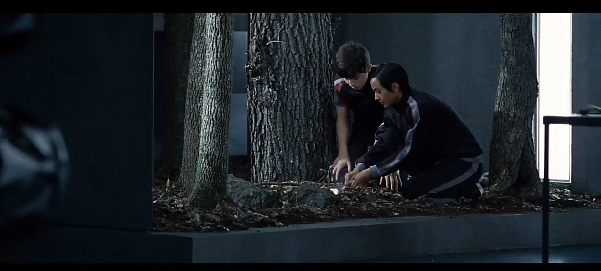 District 9 male (74th HG) | The Hunger Games Wiki | Fandom