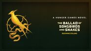 A Hunger Games novel