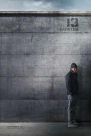 Hunger-games-mockingjay-haymitch