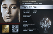 District 9 Tribute Boy ID Card 2