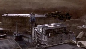 Сойка. Восьмой