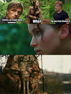 Best 25 Hunger Games Memes #Hunger games Funny #Memes