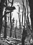 Katniss returning home, only to realize the fence is on.