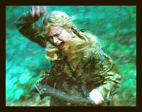 Гибель Диадемы