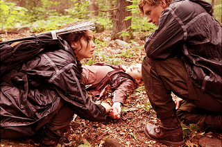 hunger games peeta and katniss berries