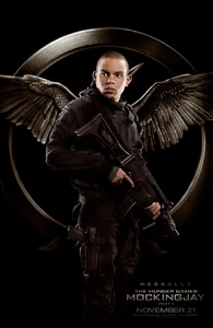 Mockingjay-messalla-poster.jpg (89 КБ)