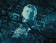 Gloss, District 1