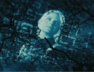 Cashmere, District 1