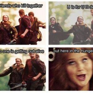 User Blog Katelyn Danita Hunger Games Memes The Hunger Games Wiki Fandom