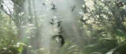 Jabberjays flying in The Hunger Games: Catching Fire
