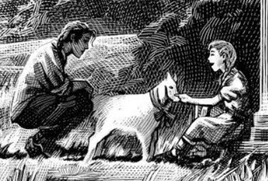 Illustrated Edition
