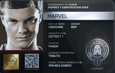 Marvel ID Card