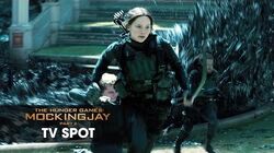 The Hunger Games: Mockingjay Part 2, Kadirozan