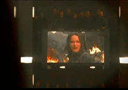 1503057245217.jpg (145 КБ)