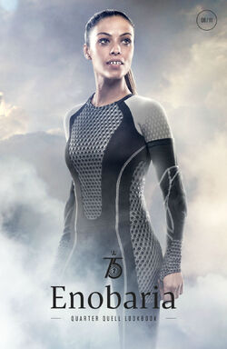 the hunger games catching fire tribute posters