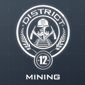 the hunger games catching fire district 12