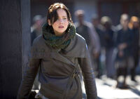 Cf hungergames-katniss-whipping