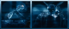 Trackerjackers.png