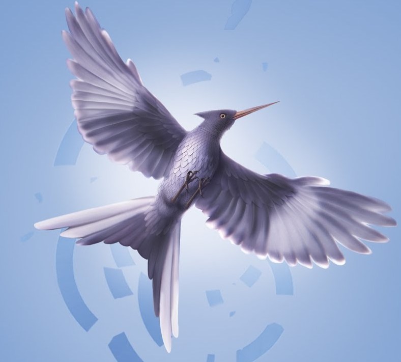 Mockingjay (bird) | The Hunger Games Wiki | Fandom