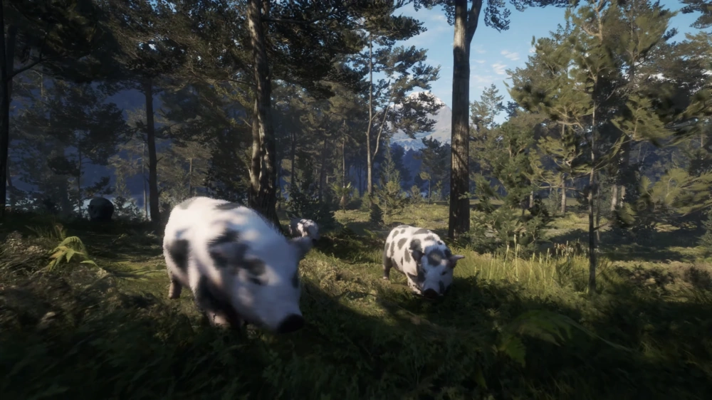 Razorback | TheHunter Call of the Wild Wiki | Fandom