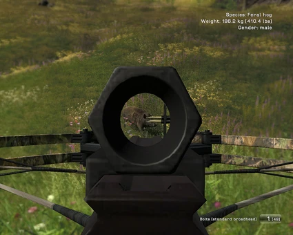  Weitere Informationen zum 