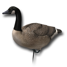 Decoy goose sentry 256