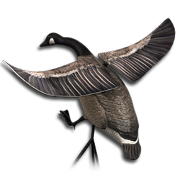 Decoy canada goose flapping wings.png