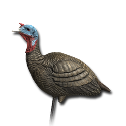 Decoy turkey female.png