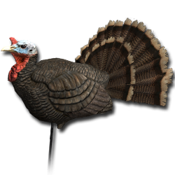 Decoy turkey male.png