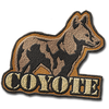 Coyote C