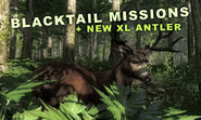 Blacktail missions Update