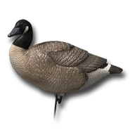 Decoy goose active 256.png (55 KB) Lockattrappe (Kanadagans) Aktiv (an Land)
