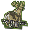 Whitetail Deer C