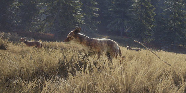 How long is The Hunter: Call of the Wild?