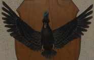 Melanistic - Front