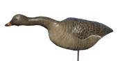 Bean Goose Decoy - Searching